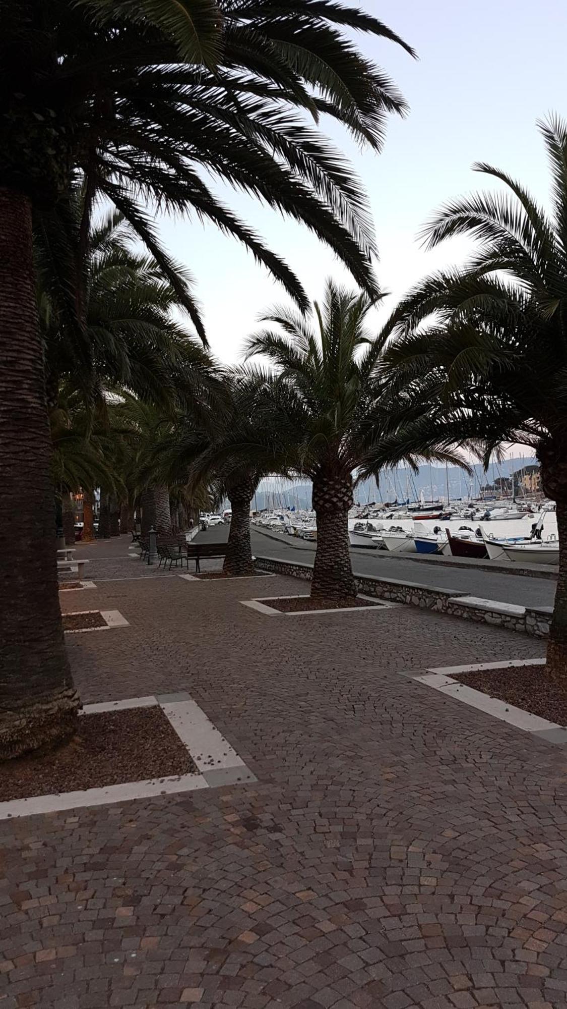 דירות פורטו ונרה La Stanzetta Dei Rosa מראה חיצוני תמונה